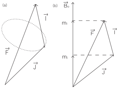 Atoms in Magnetic Fields-B.png