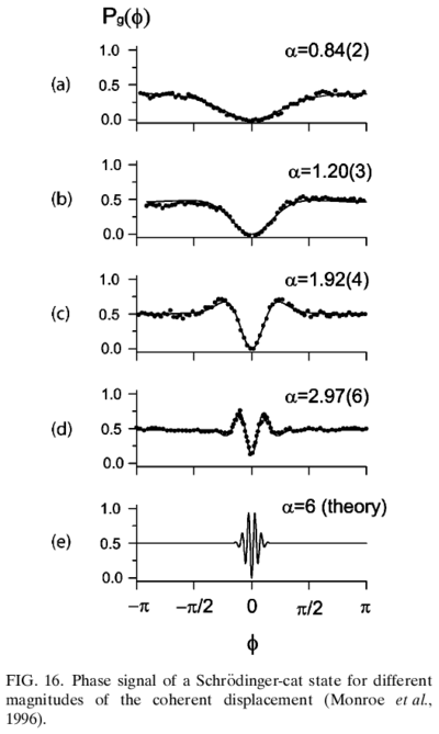 Quantum control and trapped ions-fig6-cat-state-result.png