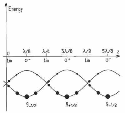 Sub-Doppler cooling-coolfig5.png